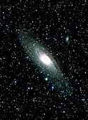 CCD optical image of the Andromeda galaxy,M31