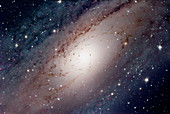 Andromeda galaxy's nucleus