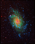 Spiral galaxy M33