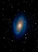 Spiral galaxy,M81