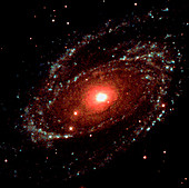 Spiral galaxy M81,UV image
