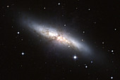 Cigar galaxy (M82)