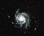 The Pinwheel galaxy M101