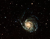 Pinwheel Galaxy,UV and optical image
