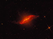 Centaurus A galaxy,IR image