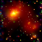 Galaxy cluster Abell 2125