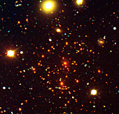 Galaxy cluster