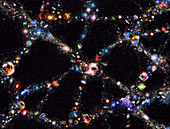 Galaxy distribution,computer artwork