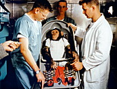 First chimpanzee in space