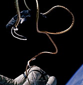First American space walk