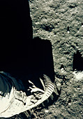 Apollo 11 astronaut's foot & footprint on Moon
