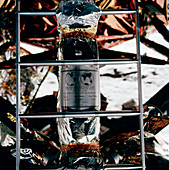 Apollo 11 Moon plaque,1969