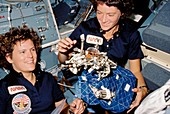 Astronauts demonstrating sleep restraint device