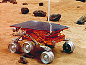 Model of the Mars Pathfinder rover Sojourner