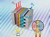 Hydrogen fuel cell,artwork