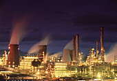 Petrochemical plant