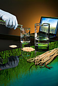 Biofuel research,ethanol from crops