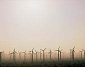 Wind turbine fields near Palm Springs,California