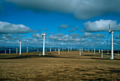 Some of the turbines forming a wind farm in Wales