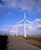 Royd Moor wind farm,UK