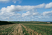 Wind farm