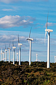 Wind turbines,Narbonne,France