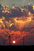 Wind turbines at sunset