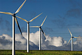 Wind turbines and electricity cables