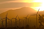 Wind turbines,California,USA