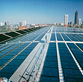 Array of photovoltaic cells on a roof of a house