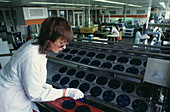 Solar cell manufacture
