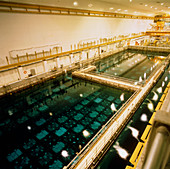 Used fuel cooling and storage pond at Sellafield