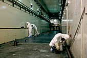 Nuclear decontamination workers