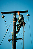 Engineer working on electricity power lines
