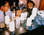 Researchers with energy-saving light bulbs