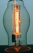 A tungsten-halogen lamp