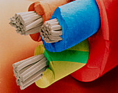 Coloured SEM of 3-core electric cable