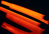 Glowing filaments of the bars of an electric fire
