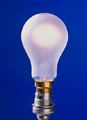 Lit light bulb