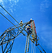 Technicians servicing a power line in training