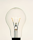 Electric light bulb