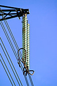 Insulators on an electricity pylon