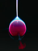 Plasma globe