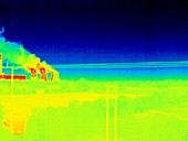 Electricity power lines,thermogram