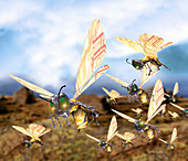 Insect robots