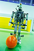 2003 Robocup humanoid robot