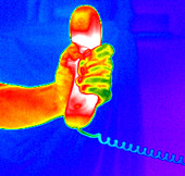 Thermogram of a telephone