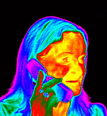 Woman using a mobile phone,thermogram