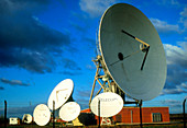 Satellite receiving dishes