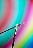Glass fibre optic strands through eye of needle